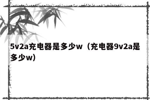 5v2a充电器是多少w（充电器9v2a是多少w）