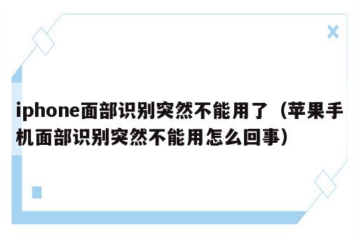iphone面部识别突然不能用了（苹果手机面部识别突然不能用怎么回事）