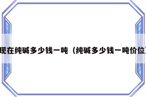 现在纯碱多少钱一吨（纯碱多少钱一吨价位）