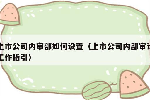 上市公司内审部如何设置（上市公司内部审计工作指引）