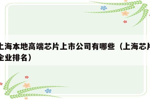上海本地高端芯片上市公司有哪些（上海芯片企业排名）