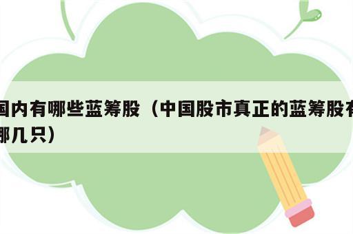 国内有哪些蓝筹股（中国股市真正的蓝筹股有哪几只）