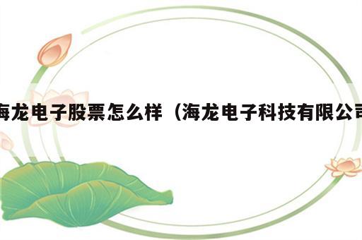 海龙电子股票怎么样（海龙电子科技有限公司）