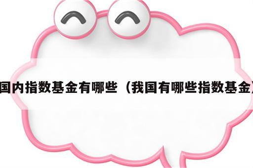 国内指数基金有哪些（我国有哪些指数基金）