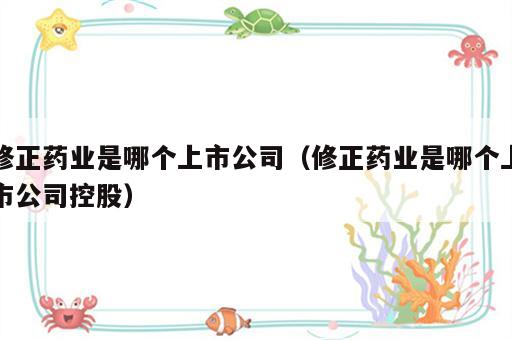 修正药业是哪个上市公司（修正药业是哪个上市公司控股）