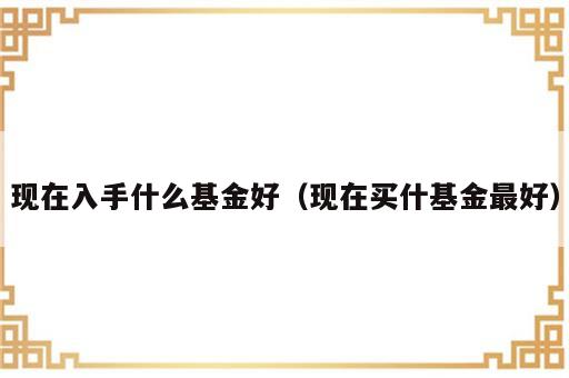 现在入手什么基金好（现在买什基金最好）
