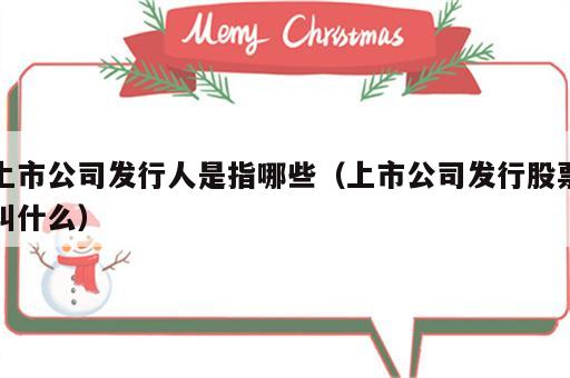 上市公司发行人是指哪些（上市公司发行股票叫什么）