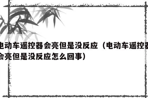电动车遥控器会亮但是没反应（电动车遥控器会亮但是没反应怎么回事）