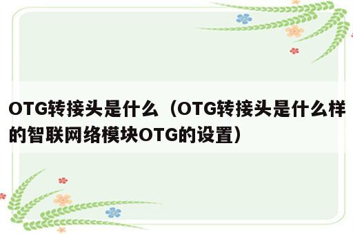 OTG转接头是什么（OTG转接头是什么样的智联网络模块OTG的设置）