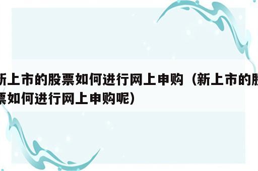 新上市的股票如何进行网上申购（新上市的股票如何进行网上申购呢）