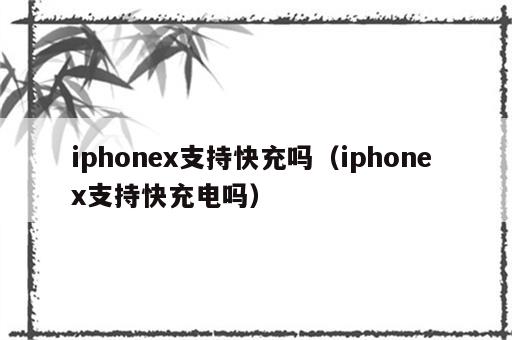 iphonex支持快充吗（iphone x支持快充电吗）