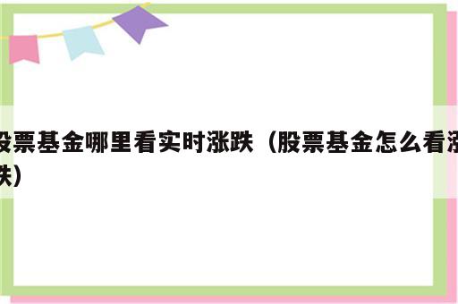 股票基金哪里看实时涨跌（股票基金怎么看涨跌）