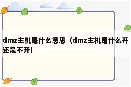 dmz主机是什么意思（dmz主机是什么开还是不开）