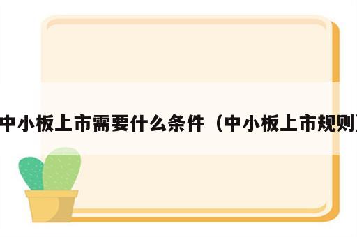 中小板上市需要什么条件（中小板上市规则）