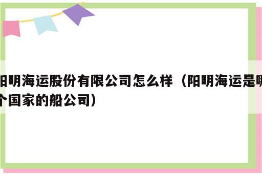 阳明海运股份有限公司怎么样（阳明海运是哪个国家的船公司）