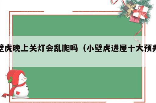 壁虎晚上关灯会乱爬吗（小壁虎进屋十大预兆）