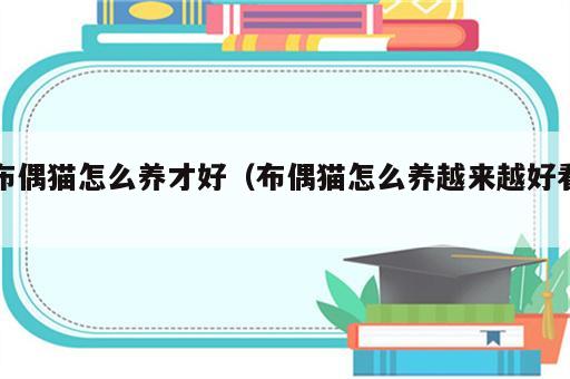 布偶猫怎么养才好（布偶猫怎么养越来越好看）