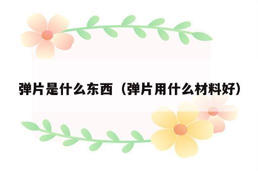 弹片是什么东西（弹片用什么材料好）