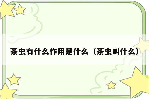 茶虫有什么作用是什么（茶虫叫什么）
