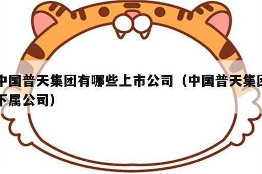 中国普天集团有哪些上市公司（中国普天集团下属公司）