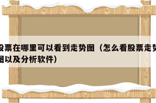 股票在哪里可以看到走势图（怎么看股票走势图以及分析软件）