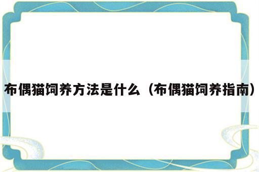 布偶猫饲养方法是什么（布偶猫饲养指南）