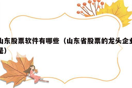 山东股票软件有哪些（山东省股票的龙头企业是）