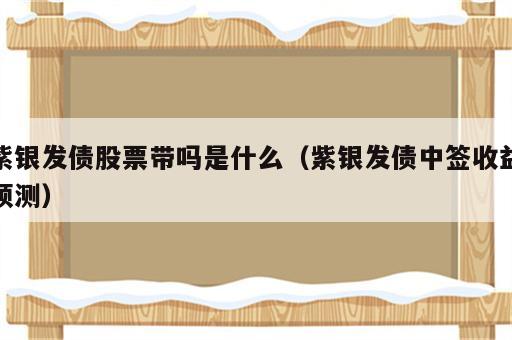 紫银发债股票带吗是什么（紫银发债中签收益预测）