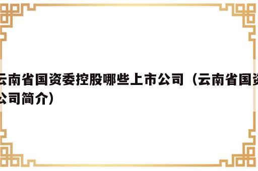 云南省国资委控股哪些上市公司（云南省国资公司简介）