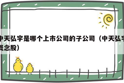 中天弘宇是哪个上市公司的子公司（中天弘宇概念股）