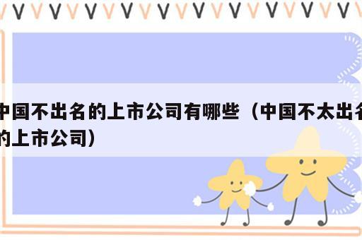中国不出名的上市公司有哪些（中国不太出名的上市公司）