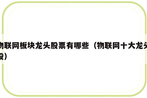 物联网板块龙头股票有哪些（物联网十大龙头股）