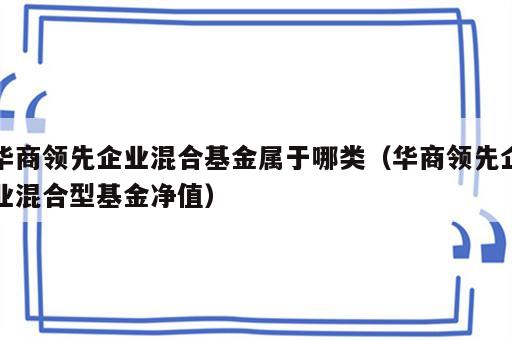 华商领先企业混合基金属于哪类（华商领先企业混合型基金净值）