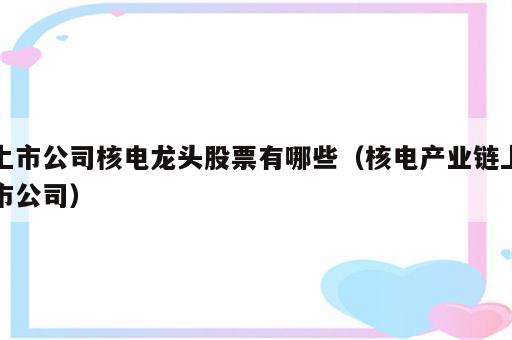 上市公司核电龙头股票有哪些（核电产业链上市公司）