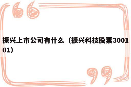 振兴上市公司有什么（振兴科技股票300101）