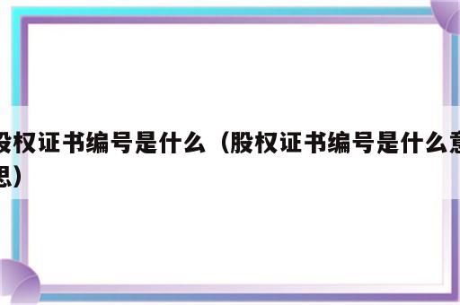 股权证书编号是什么（股权证书编号是什么意思）
