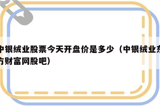 中银绒业股票今天开盘价是多少（中银绒业东方财富网股吧）