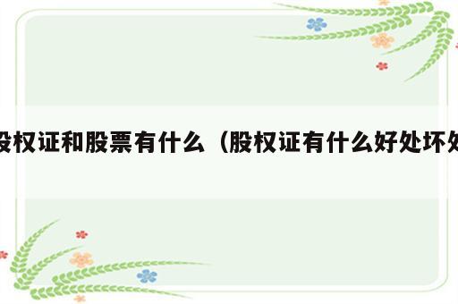 股权证和股票有什么（股权证有什么好处坏处）