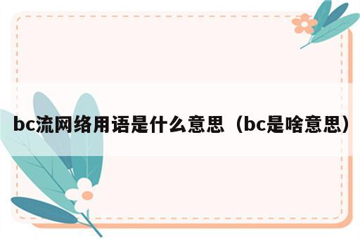 bc流网络用语是什么意思（bc是啥意思）