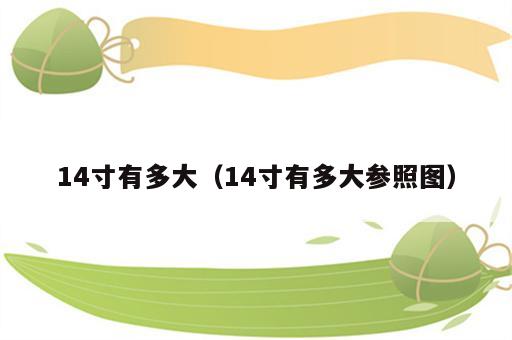 14寸有多大（14寸有多大参照图）