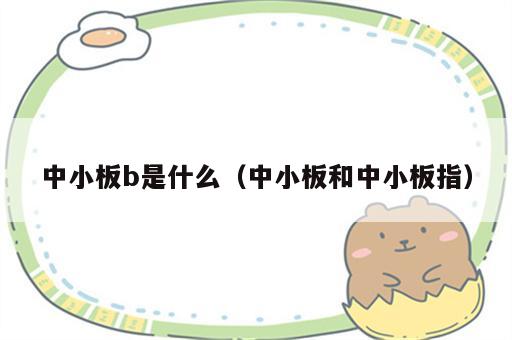 中小板b是什么（中小板和中小板指）