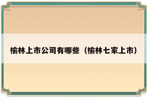 榆林上市公司有哪些（榆林七家上市）