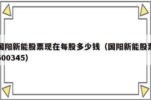 国阳新能股票现在每股多少钱（国阳新能股票600345）