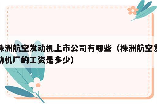 株洲航空发动机上市公司有哪些（株洲航空发动机厂的工资是多少）