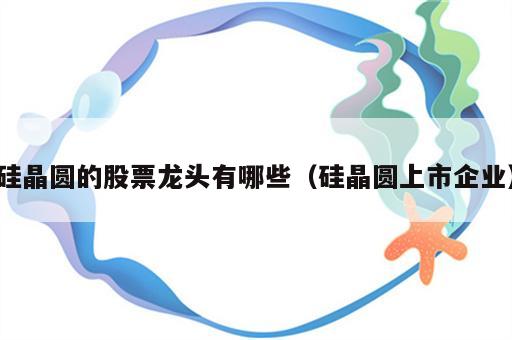 硅晶圆的股票龙头有哪些（硅晶圆上市企业）
