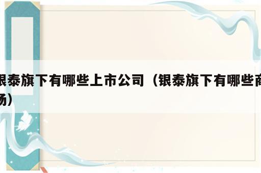 银泰旗下有哪些上市公司（银泰旗下有哪些商场）