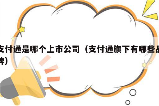 支付通是哪个上市公司（支付通旗下有哪些品牌）
