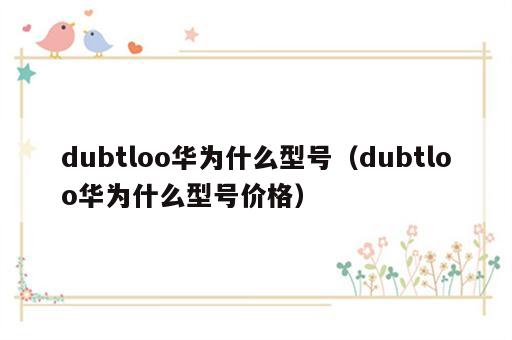 dubtloo华为什么型号（dubtloo华为什么型号价格）