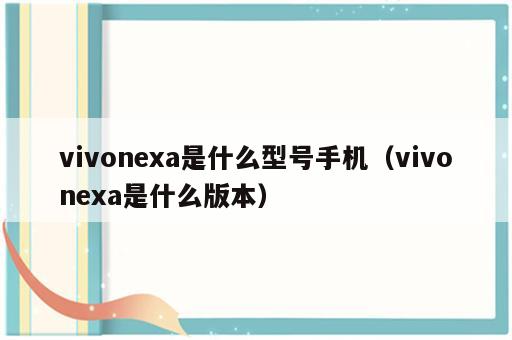 vivonexa是什么型号手机（vivonexa是什么版本）