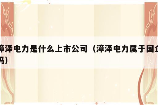 漳泽电力是什么上市公司（漳泽电力属于国企吗）